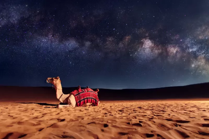 Safari nel Deserto con Pernottamento in Campo Desertico